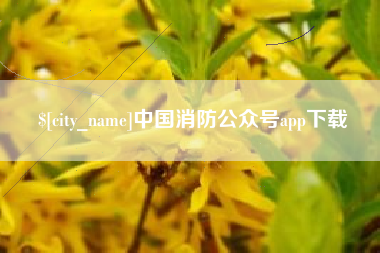 凉山中国消防公众号app下载