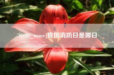 凉山我国消防日是哪日