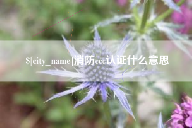 凉山消防ccc认证什么意思