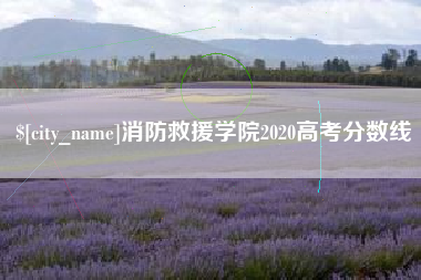 凉山消防救援学院2020高考分数线