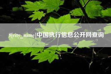 凉山中国执行信息公开网查询