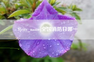 凉山全国消防日哪一