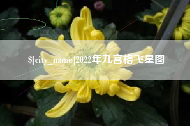 凉山2022年九宫格飞星图