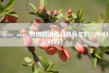 凉山我国的消防日是每年的11月9日对吗？