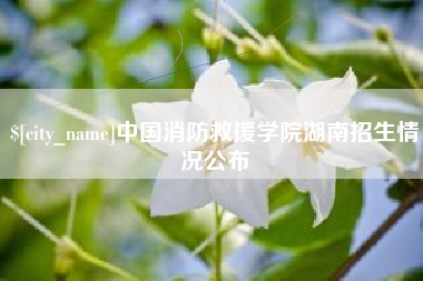 凉山中国消防救援学院湖南招生情况公布