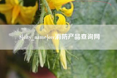 凉山ccc消防产品查询网