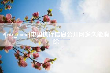 凉山中国执行信息公开网多久能消除