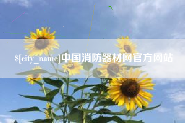 凉山中国消防器材网官方网站