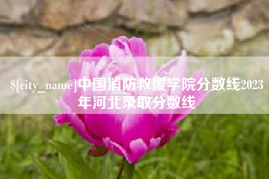 凉山中国消防救援学院分数线2023年河北录取分数线