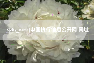 凉山中国执行信息公开网 网址