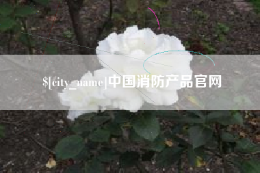 凉山中国消防产品官网