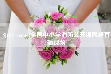 凉山全国中小学消防公开课网络直播视频