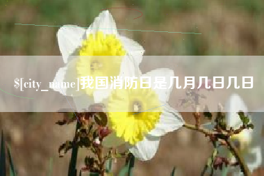 凉山我国消防日是几月几日几日