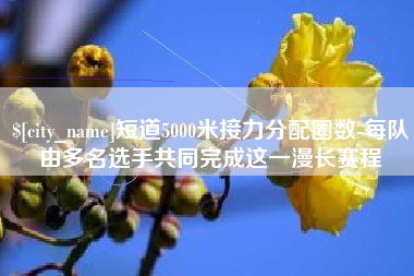 凉山短道5000米接力分配圈数-每队由多名选手共同完成这一漫长赛程