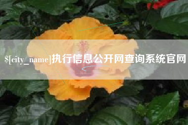 凉山执行信息公开网查询系统官网
