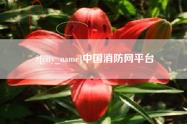 凉山中国消防网平台