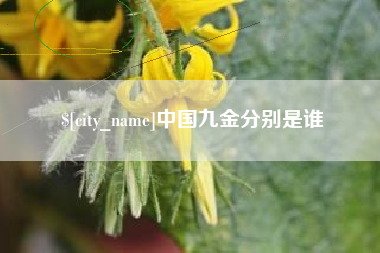凉山中国九金分别是谁
