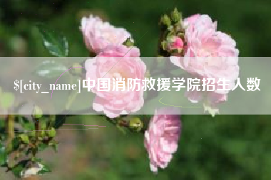 凉山中国消防救援学院招生人数