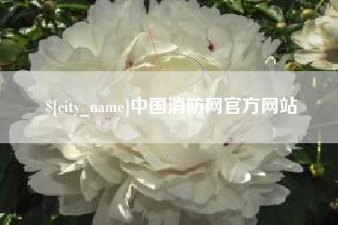 凉山中国消防网官方网站