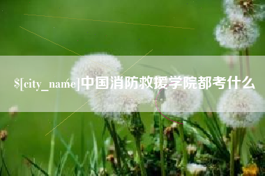 凉山中国消防救援学院都考什么