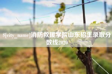 凉山消防救援学院山东招生录取分数线2020