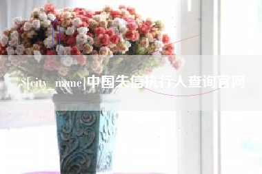 凉山中国失信执行人查询官网