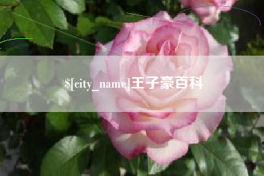 凉山王子豪百科