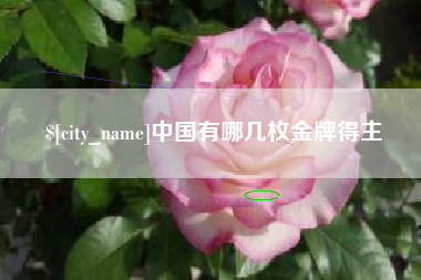 凉山中国有哪几枚金牌得主
