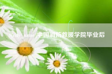 凉山中国消防救援学院毕业后