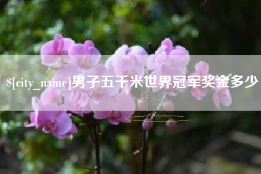 凉山男子五千米世界冠军奖金多少