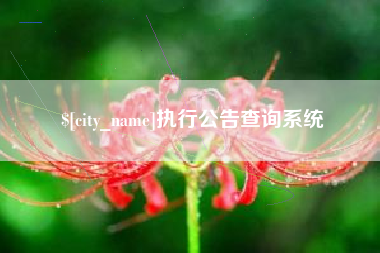 凉山执行公告查询系统