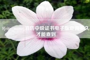 凉山消防中级证书电子版查询多久才能查到