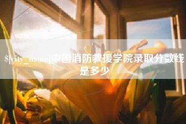 凉山中国消防救援学院录取分数线是多少