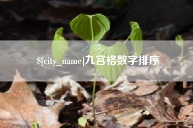 凉山九宫格数字排序
