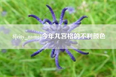凉山今年九宫格的不利颜色