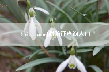 凉山消防证查询入口