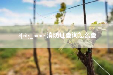 凉山消防证查询怎么查