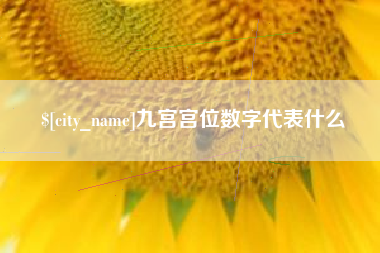 凉山九宫宫位数字代表什么