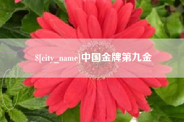 凉山中国金牌第九金