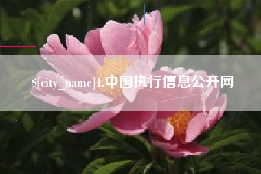 凉山1.中国执行信息公开网