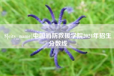 凉山中国消防救援学院2024年招生分数线