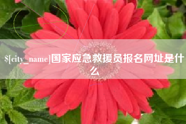 凉山国家应急救援员报名网址是什么