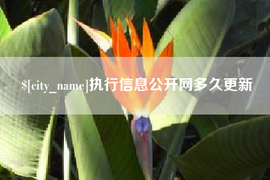 凉山执行信息公开网多久更新