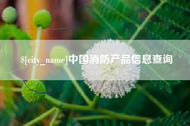 凉山中国消防产品信息查询