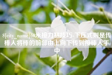 凉山60米接力赛技巧-下压式则是传棒人将棒的前部由上向下传到接棒人手中