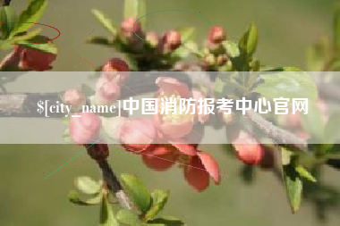 凉山中国消防报考中心官网