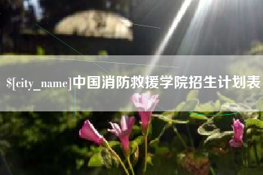 凉山中国消防救援学院招生计划表