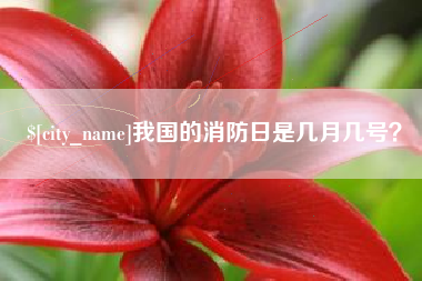 凉山我国的消防日是几月几号？
