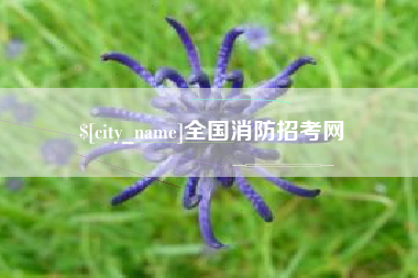 凉山全国消防招考网