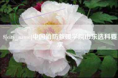 凉山中国消防救援学院山东选科要求